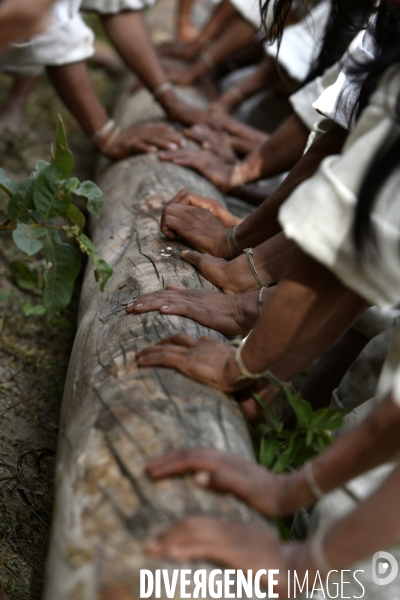 Les  Kogis,  Les gardiens de la Terre . iIs vivent dans la Sierra Nevada de Santa Marta qui représente à leurs yeux le centre du monde, la « Mère Terre »,  avec laquelle ils vivent en harmonie
