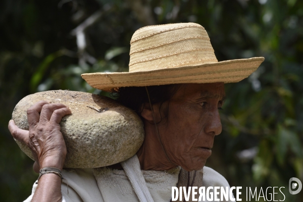 Les  Kogis,  Les gardiens de la Terre . iIs vivent dans la Sierra Nevada de Santa Marta qui représente à leurs yeux le centre du monde, la « Mère Terre »,  avec laquelle ils vivent en harmonie