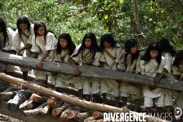 Les  Kogis,  Les gardiens de la Terre . iIs vivent dans la Sierra Nevada de Santa Marta qui représente à leurs yeux le centre du monde, la « Mère Terre »,  avec laquelle ils vivent en harmonie