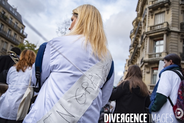 Marche pour l hôpital public