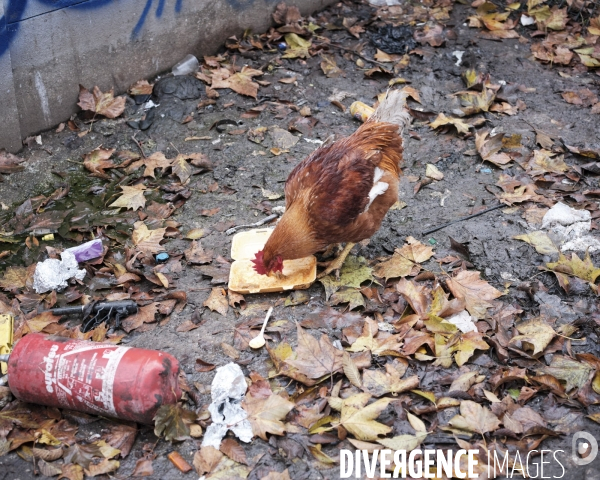 Réfugiés porte d Aubervilliers