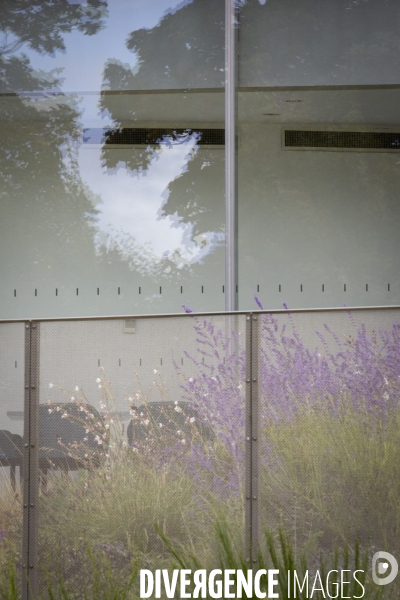 Le Louvre Lens