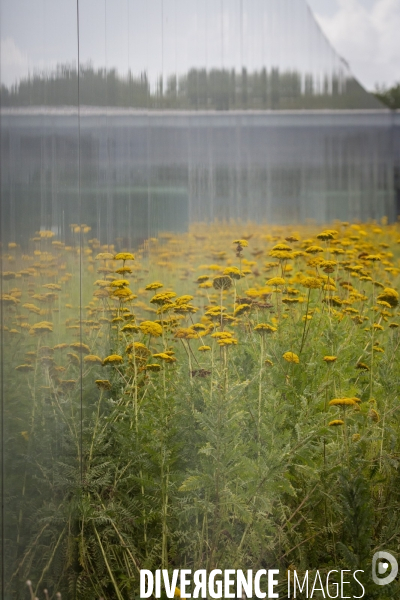 Le Louvre Lens