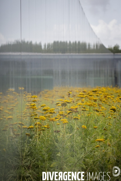 Le Louvre Lens