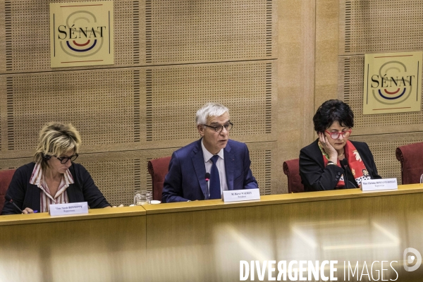 Eric Schnur, PDG de Lubrizol est auditionné au Sénat