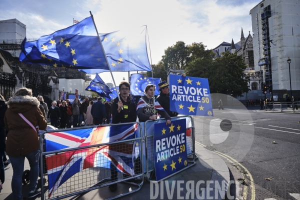 Manifestant anti Brexit devant le parlement à Londres