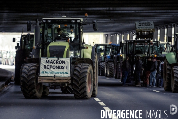 Manifestation des agriculteurs - Paris, 27.11.2019