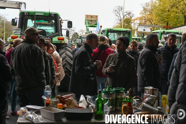 Manifestation des agriculteurs