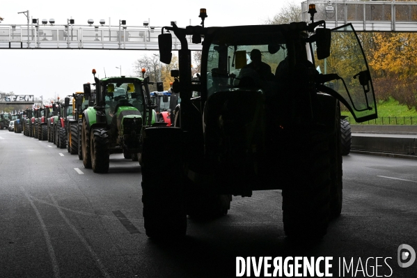 Manifestation des agriculteurs