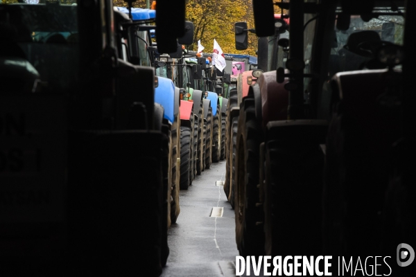 Manifestation des agriculteurs