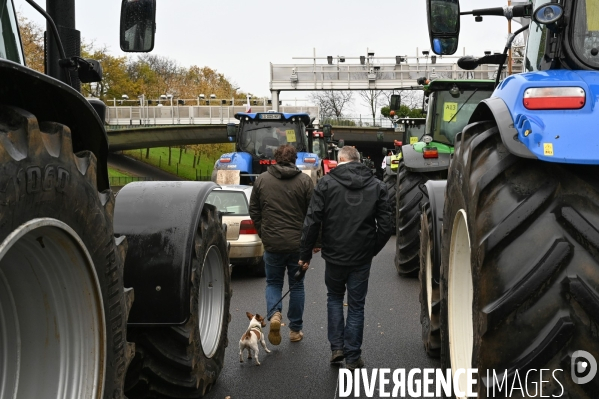 Manifestation des agriculteurs