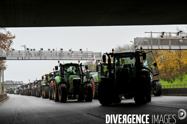 Manifestation des agriculteurs