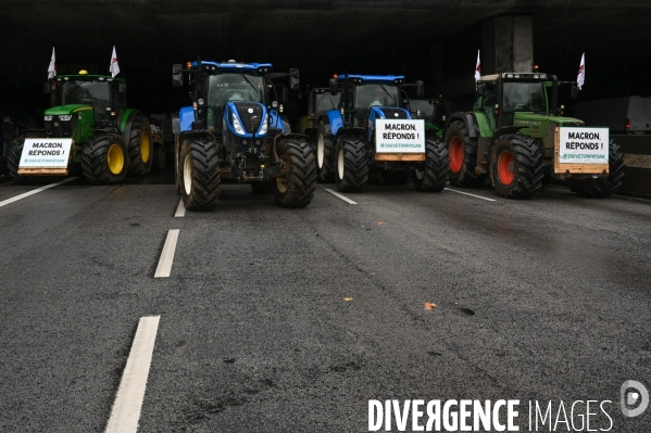 Manifestation des agriculteurs