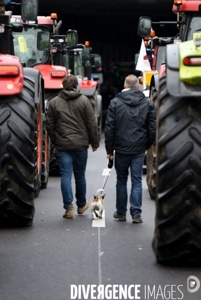 Manifestation des agriculteurs