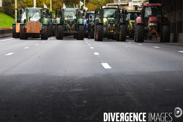 Manifestation des agriculteurs