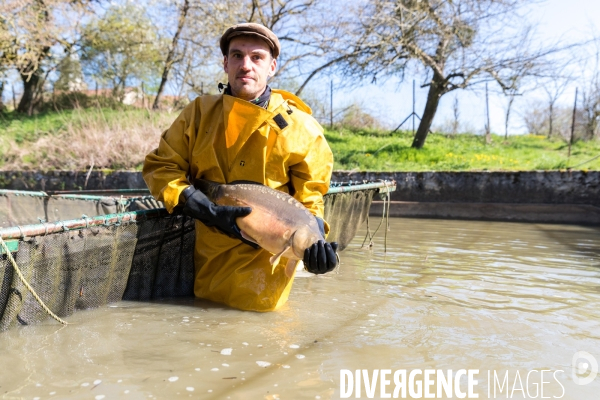L ESAT des Etangs de Lachaussée