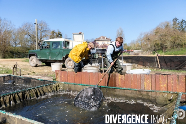 L ESAT des Etangs de Lachaussée