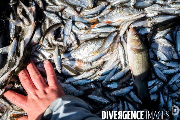 L ESAT des Etangs de Lachaussée