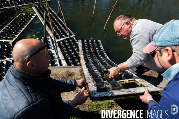 L ESAT des Etangs de Lachaussée