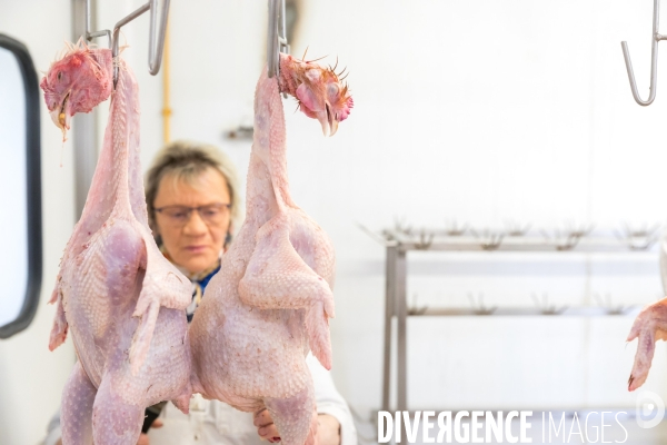 L ESAT des Etangs de Lachaussée