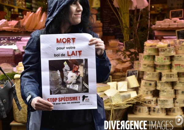 Cause animale : actions STOP SPECISME de militants l association 269 Life France. Animals rights.