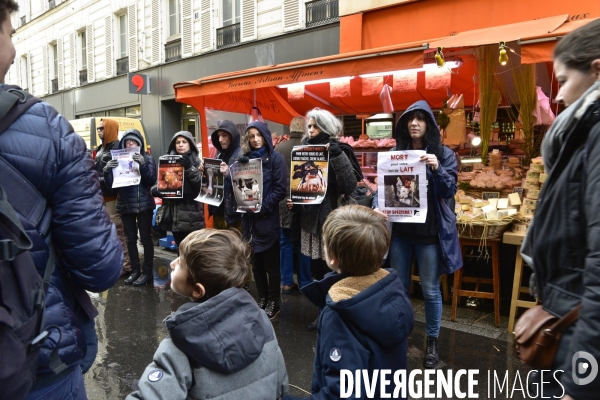 Cause animale : actions STOP SPECISME de militants l association 269 Life France. Animals rights.