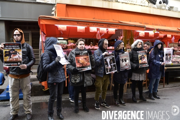 Cause animale : actions STOP SPECISME de militants l association 269 Life France. Animals rights.