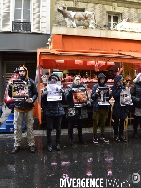 Cause animale : actions STOP SPECISME de militants l association 269 Life France. Animals rights.