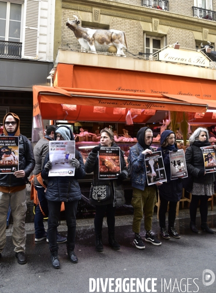 Cause animale : actions STOP SPECISME de militants l association 269 Life France. Animals rights.