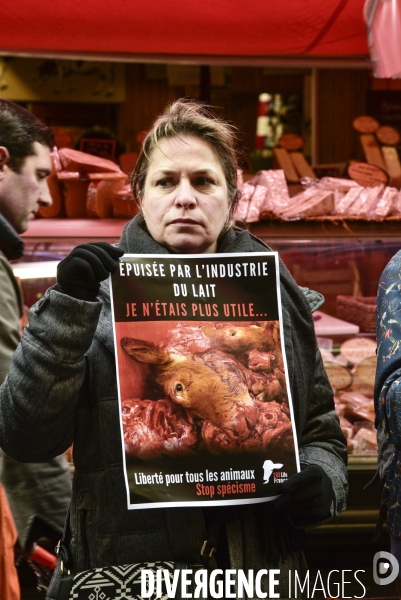 Cause animale : actions STOP SPECISME de militants l association 269 Life France. Animals rights.