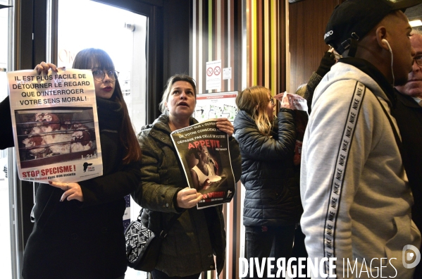 Cause animale : actions STOP SPECISME de militants l association 269 Life France. Animals rights.