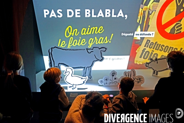 Illustration  novembre 2019.Pour ou contre le foie gras