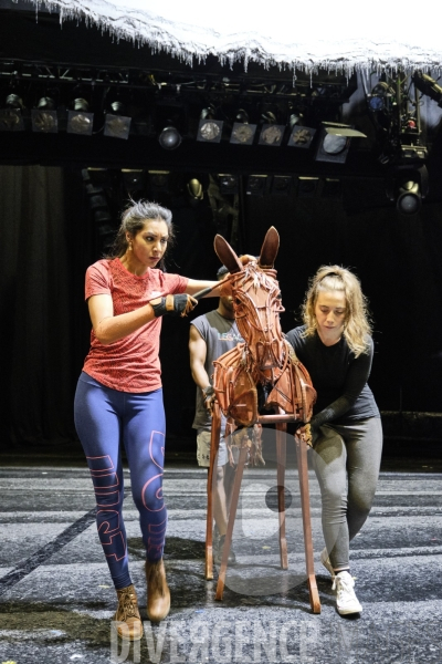 War Horse / Répétitions et coullisses à Wembley