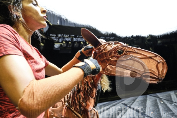 War Horse / Répétitions et coullisses à Wembley