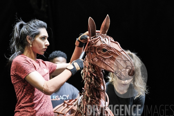 War Horse / Répétitions et coullisses à Wembley