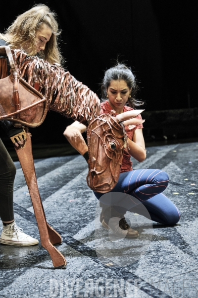 War Horse / Répétitions et coullisses à Wembley