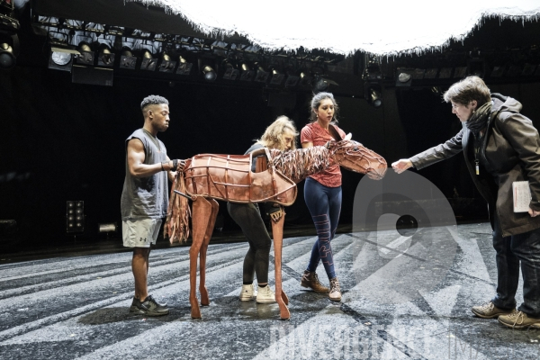 War Horse / Répétitions et coullisses à Wembley