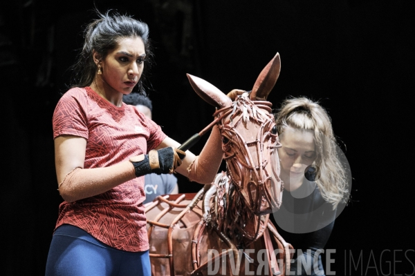 War Horse / Répétitions et coullisses à Wembley