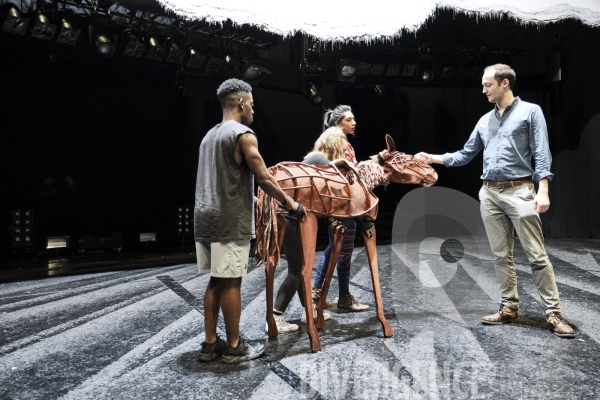 War Horse / Répétitions et coullisses à Wembley