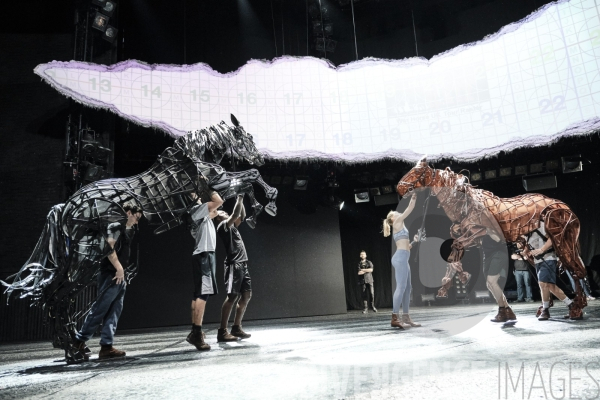 War Horse / Répétitions et coullisses à Wembley