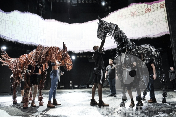 War Horse / Répétitions et coullisses à Wembley