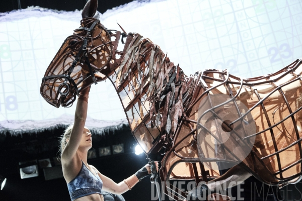 War Horse / Répétitions et coullisses à Wembley