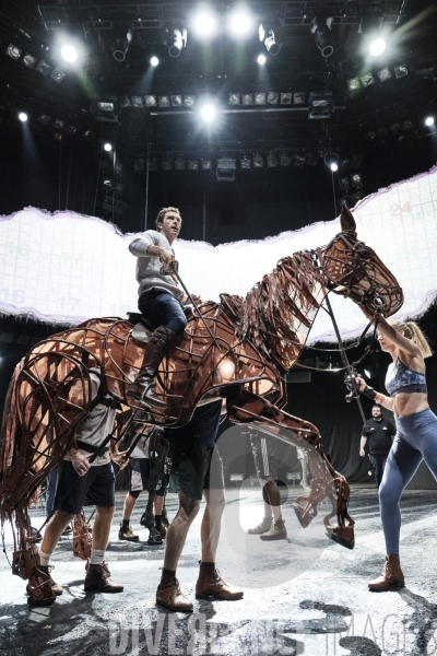 War Horse / Répétitions et coullisses à Wembley