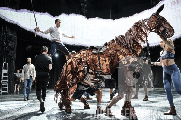 War Horse / Répétitions et coullisses à Wembley