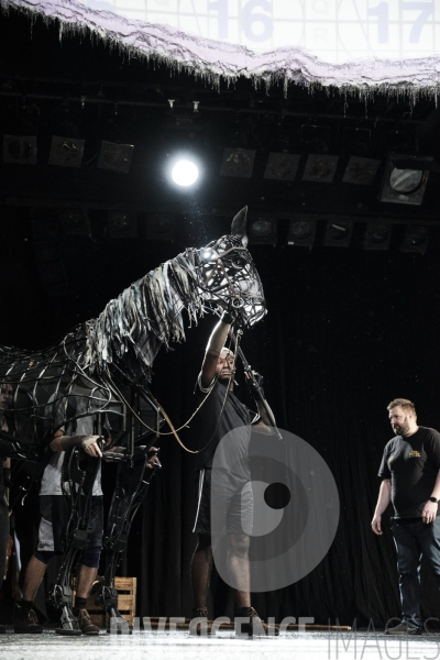 War Horse / Répétitions et coullisses à Wembley