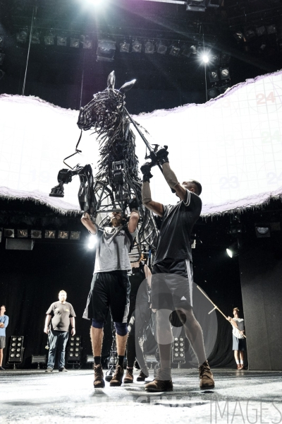 War Horse / Répétitions et coullisses à Wembley