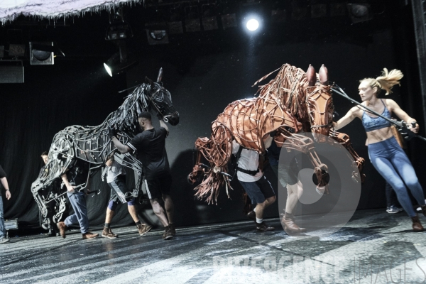 War Horse / Répétitions et coullisses à Wembley