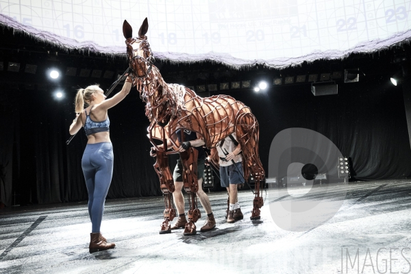 War Horse / Répétitions et coullisses à Wembley