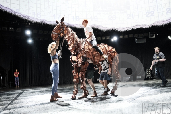 War Horse / Répétitions et coullisses à Wembley