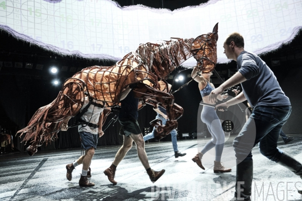 War Horse / Répétitions et coullisses à Wembley